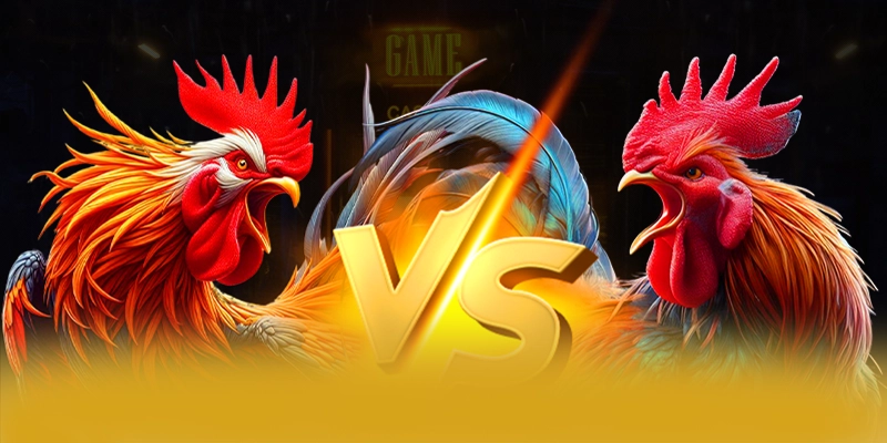 Hệ thống chăm sóc khách hàng tại BET168