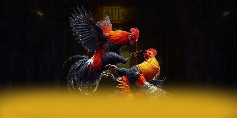 So sánh của 8XBET trên thị trường So sánh của 8XBET trên thị trường